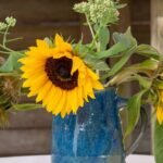 Useful-Tips-On-How-To-Keep-Sunflowers-Fresh-After-Cutting-On-DailyMirror